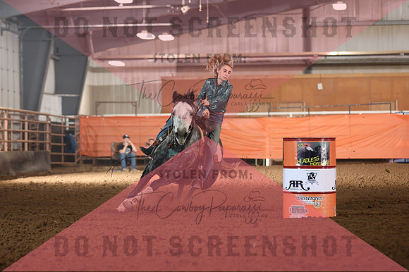 255A9593