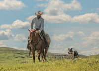Leland Red Angus, Sort Out, Jun 19-20