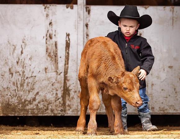 E__2023_4_12 Tripp with Dixie & Calves-