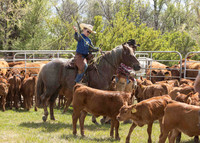 2025 LRA Hfr Branding-4226