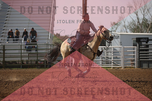 255A2713