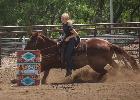 2026 Barrel Racer Land-7710