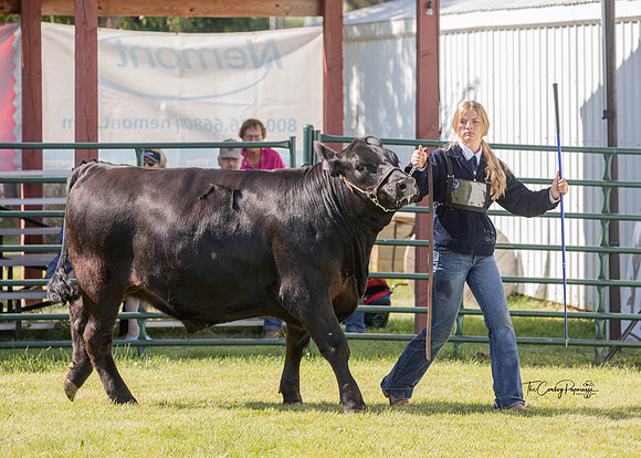 Roosevelt COunty Fair 2022-5457