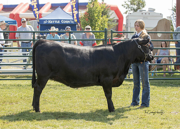 Roosevelt COunty Fair 2022-5707