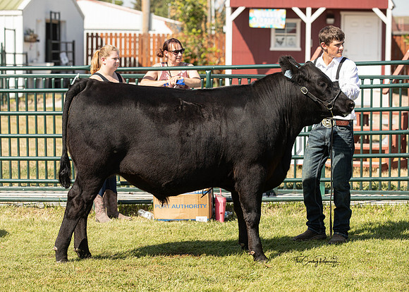 Roosevelt COunty Fair 2022-5591