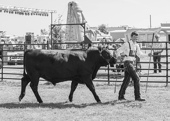 Roosevelt COunty Fair 2022-5574