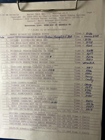 Draw Pg 1