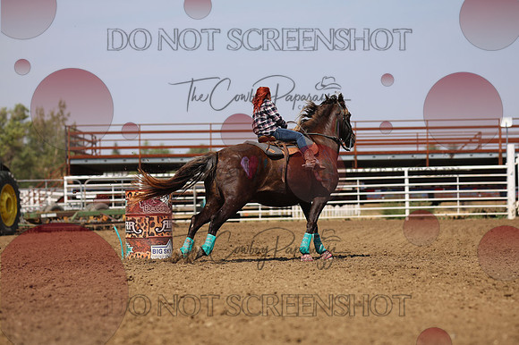 255A4297