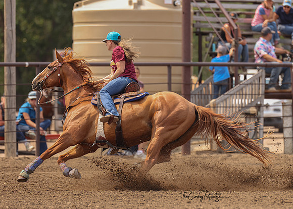 2026 Ace of Barrels-3540