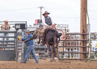 2026 BSRRF Ranch Bronc Riding-5967