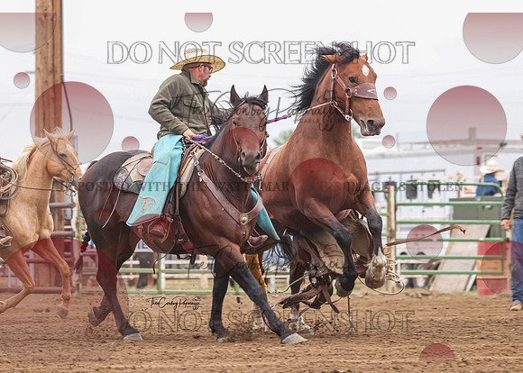 2026 BSRRF Ranch Bronc Riding-5583