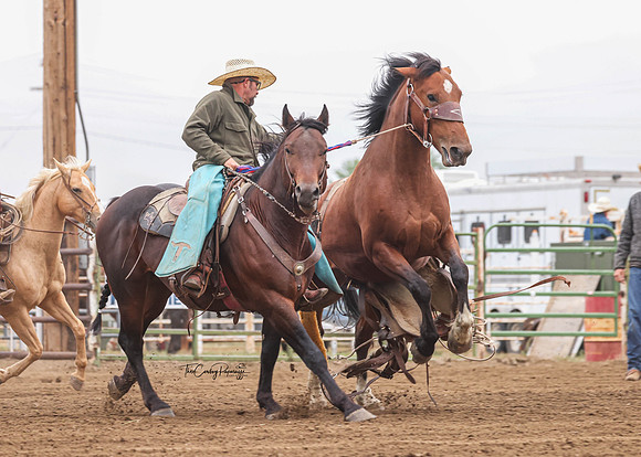 2026 BSRRF Ranch Bronc Riding-5583
