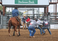 2026 BSRRF First Responders Wild Cow Milking-4506