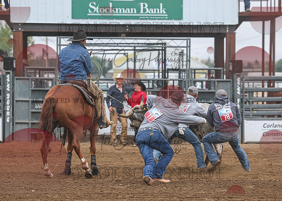 2026 BSRRF First Responders Wild Cow Milking-4506