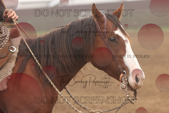 EC2A9258