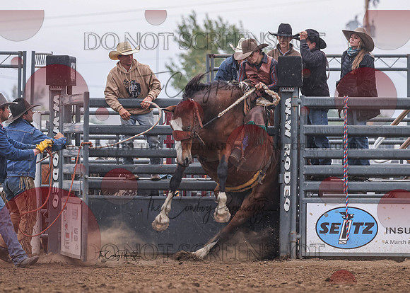 2026 BSRRF Ranch Bronc Riding-6197