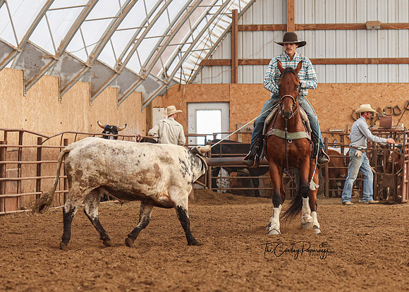 2025 Sperry Jackpot Ropings-8933