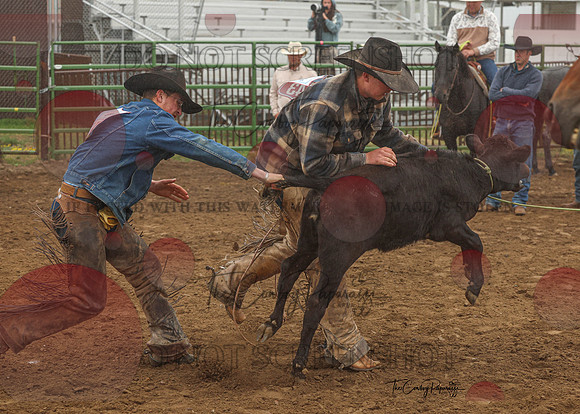 2026 BSRRF Open Ranch Rodeo-1949