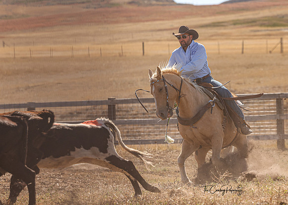 2024 McMillen Pasture Roping-7551