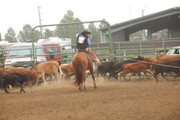 255A2198