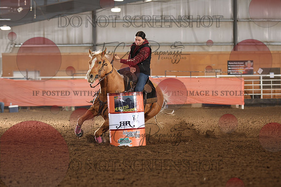 255A8329