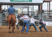 2026 BSRRF First Responders Wild Cow Milking-4507