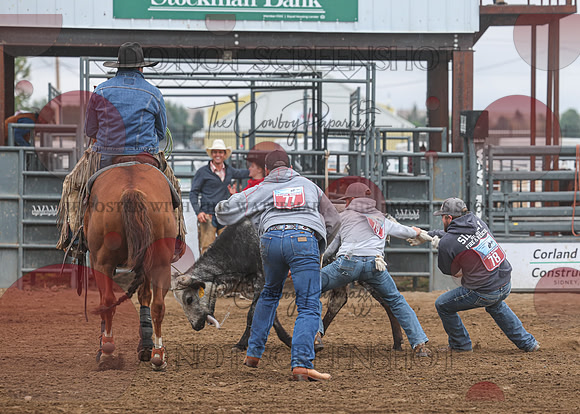 2026 BSRRF First Responders Wild Cow Milking-4507