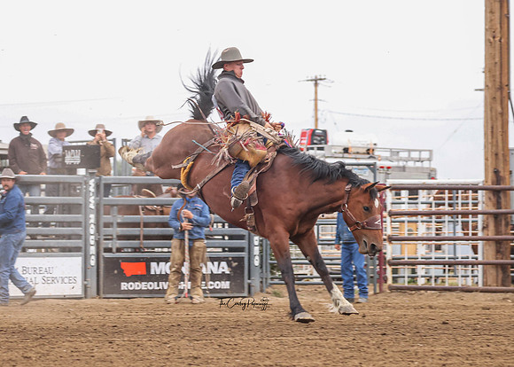 2026 BSRRF Ranch Bronc Riding-5537