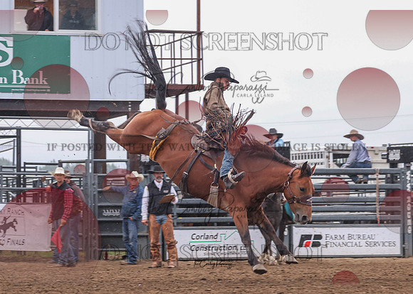 2026 BSRRF Ranch Bronc Riding-6130
