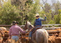 2025 LRA Hfr Branding-4289