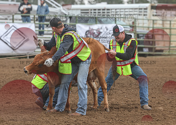 2026 BSRRF First Responders Wild Cow Milking-4549