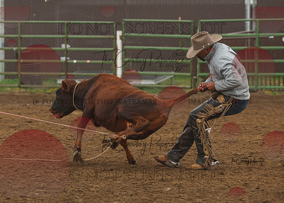 2026 BSRRF Open Ranch Rodeo-2951