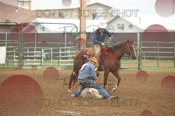 255A2560