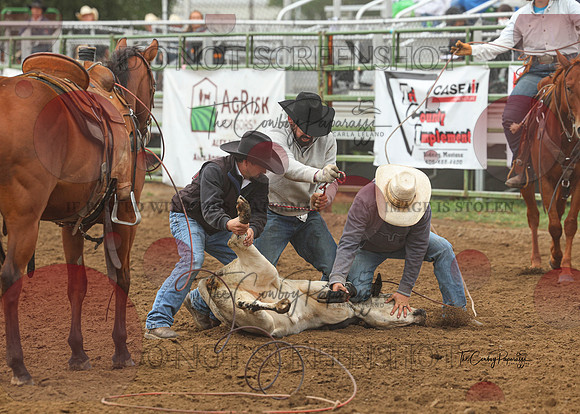 2026 BSRRF Open Ranch Rodeo-2627