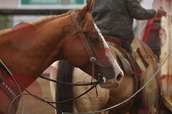 255A4093