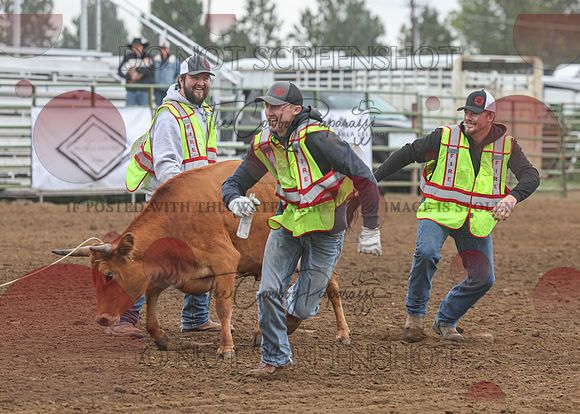 2026 BSRRF First Responders Wild Cow Milking-4554