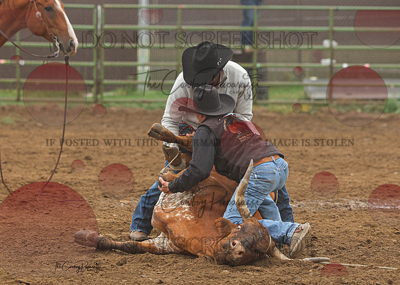 2026 BSRRF Open Ranch Rodeo-2612