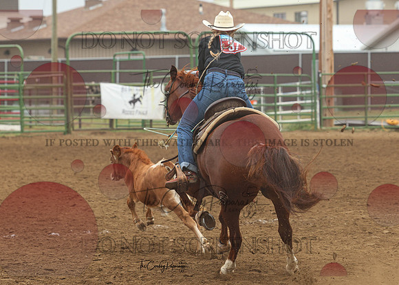 2026 BSRRF Open Ranch Rodeo-2261