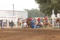 4_Team Roping