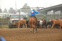 255A1910