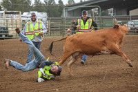 First Responders Wild Cow Milking