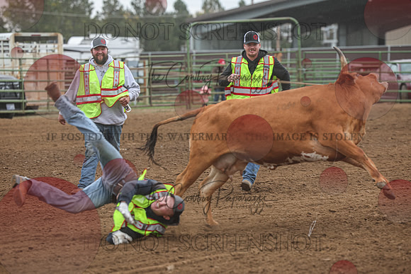 2026 BSRRF First Responders Wild Cow Milking-4525