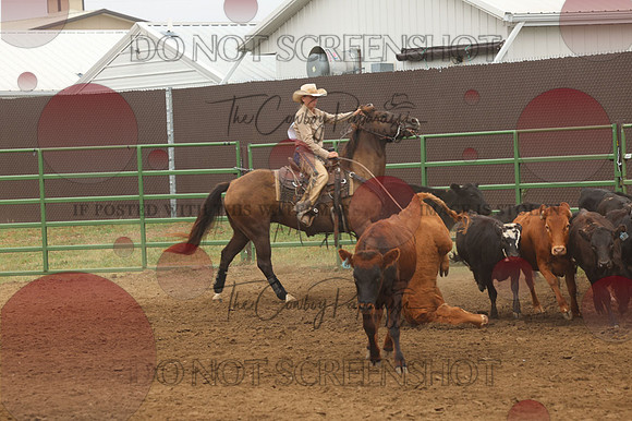 255A1786