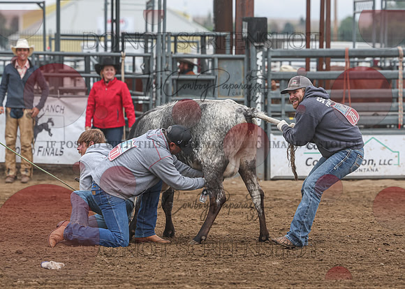 2026 BSRRF First Responders Wild Cow Milking-4544