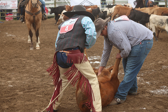 255A2133