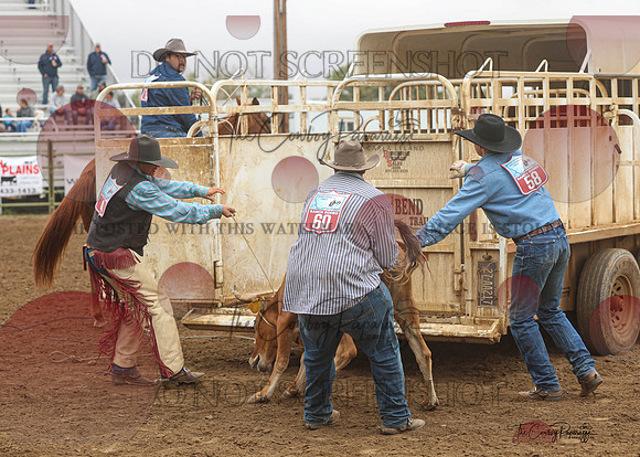 2026 BSRRF Open Ranch Rodeo-3600