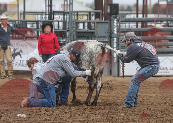 2026 BSRRF First Responders Wild Cow Milking-4542