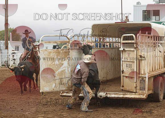 2026 BSRRF Open Ranch Rodeo-3846