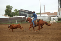 255A3171
