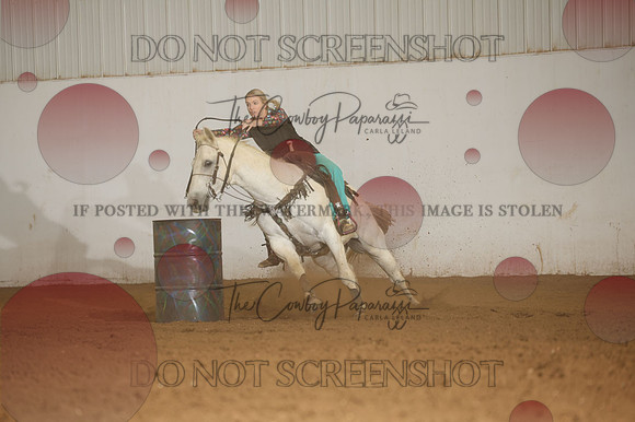 255A8593